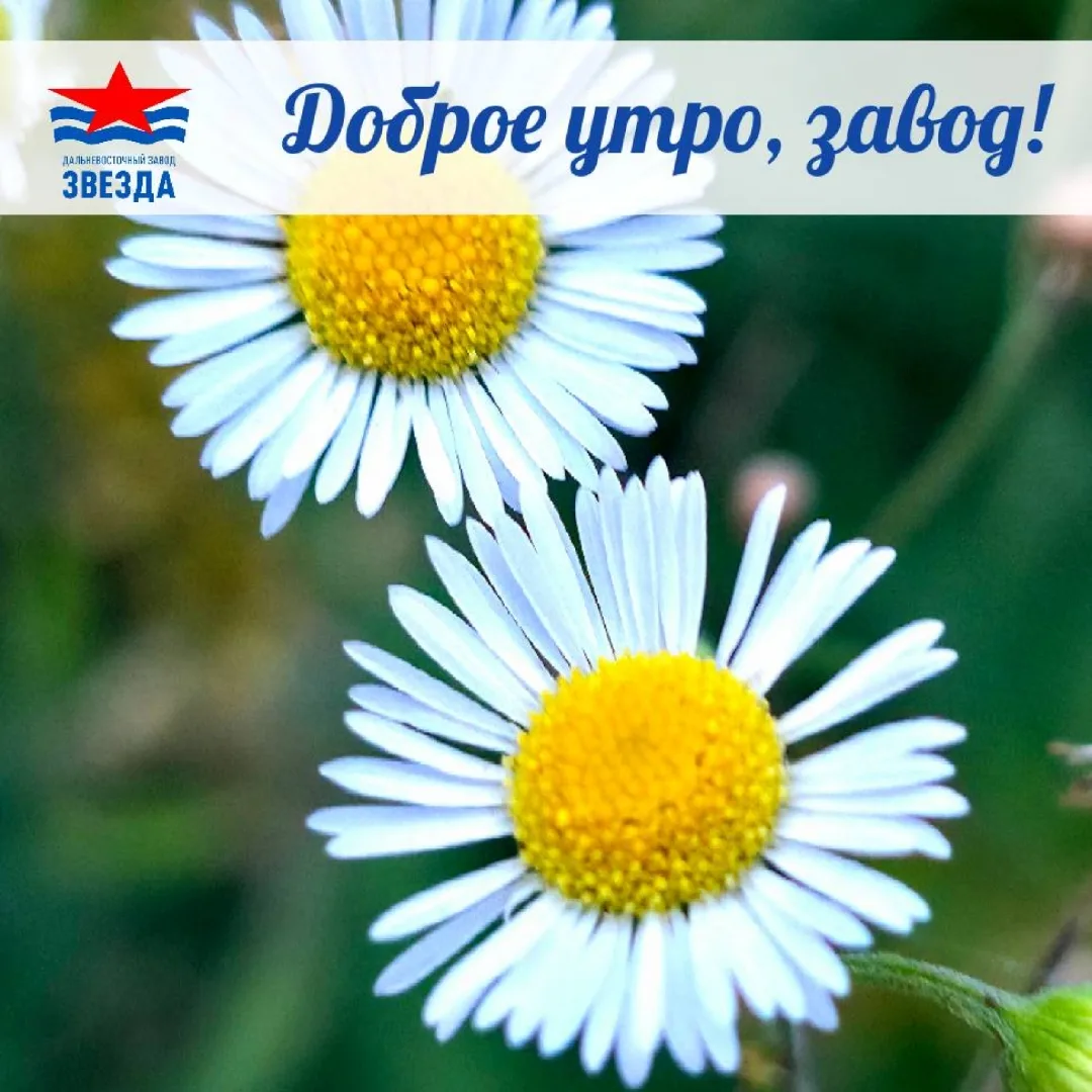 ☕Доброе утро, коллеги!