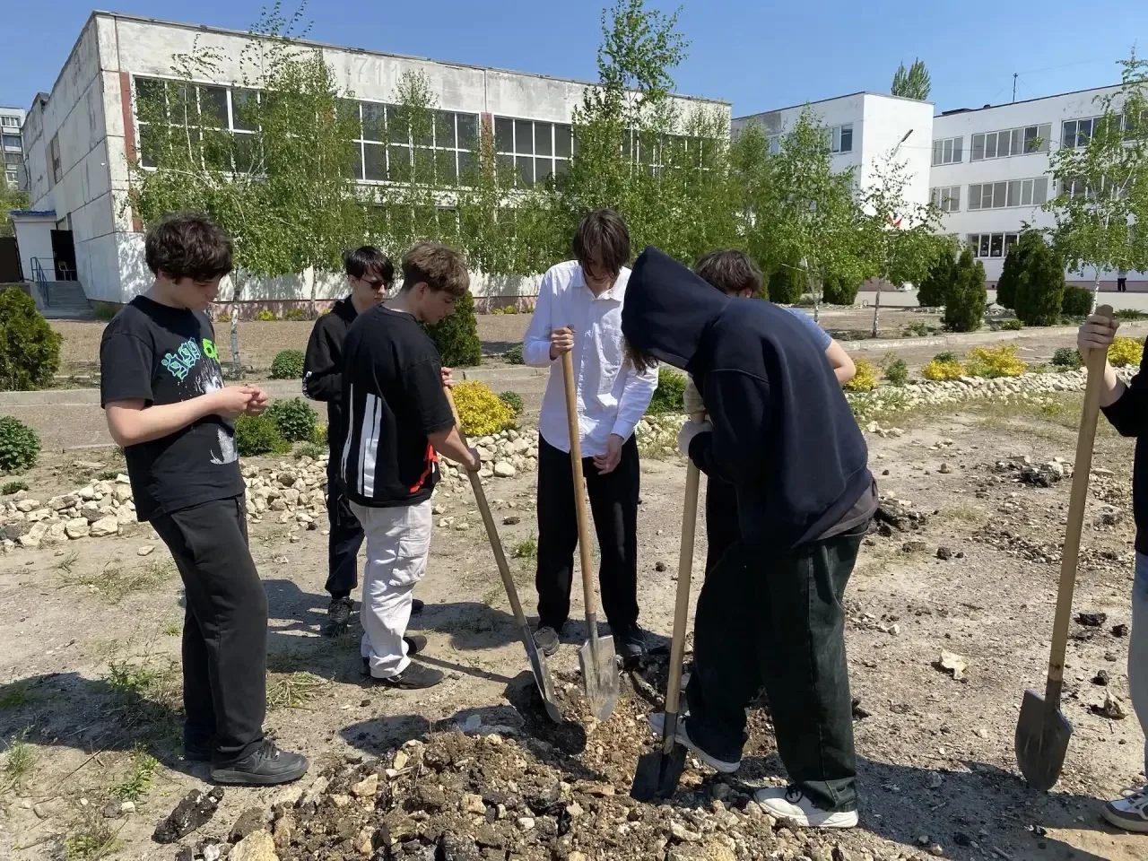 🌱✨ А мы продолжаем благоустраивать наш школьный двор! ✨🌱  Сегодня за дело взялись ученики 9‑х, 10‑х 