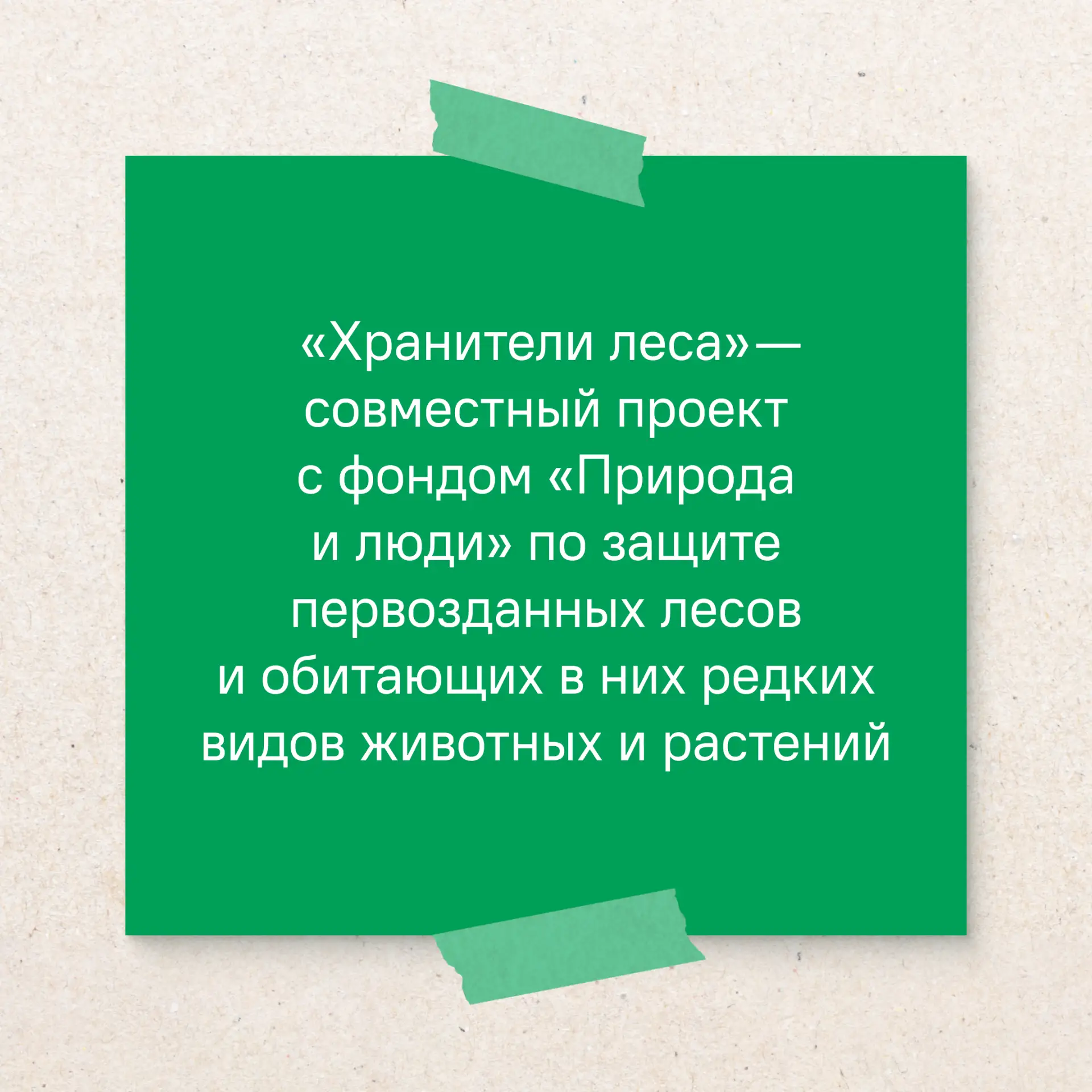 🌳 Некоторые деревья старше 200 лет, и сегодня они получили ещё один шанс на сохранение