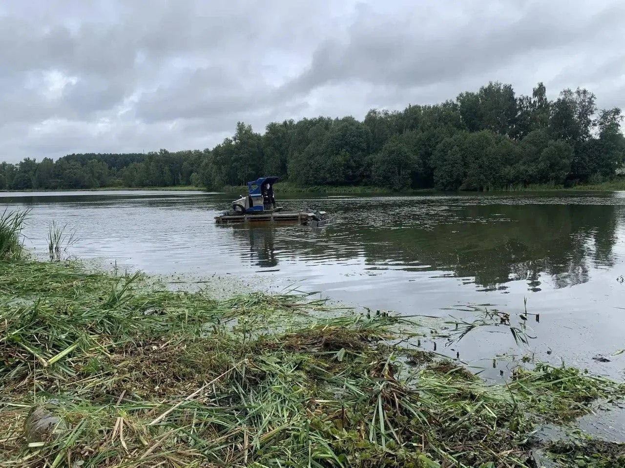 🧹 В Старом Городке начали расчищать пруд на Сетуни