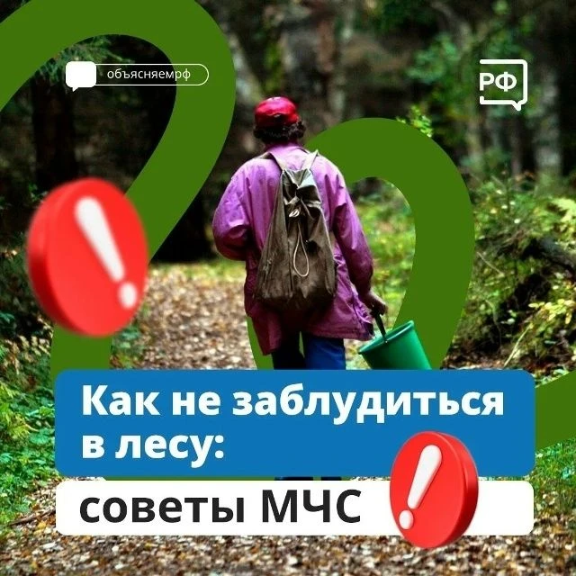 Отправляясь в лес:
