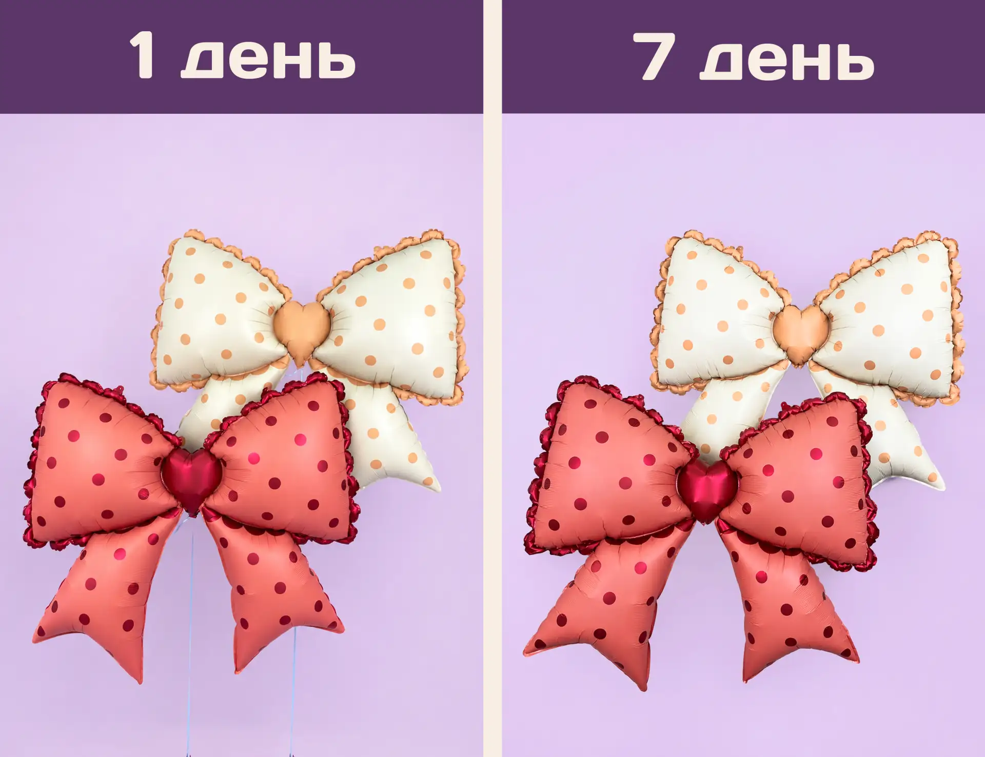 ✨ТЕСТ