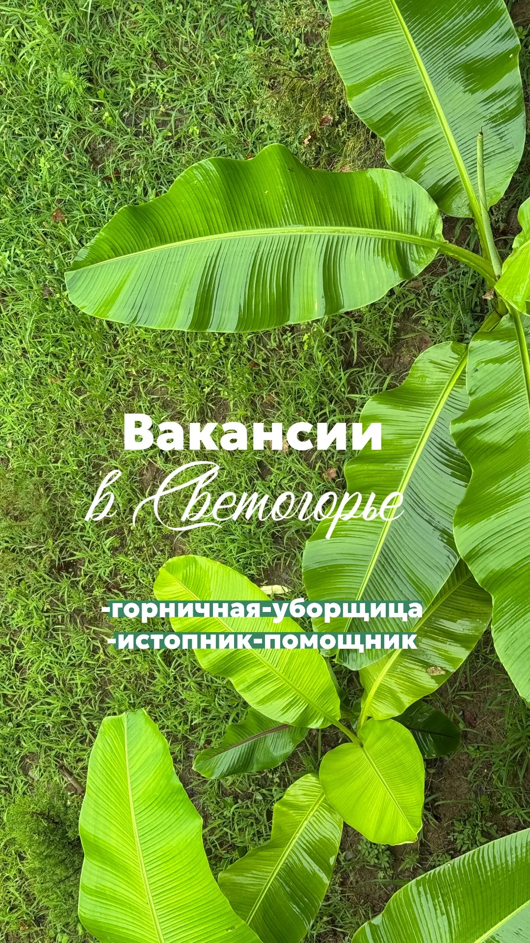 ✅ требуется горничная-уборщица.