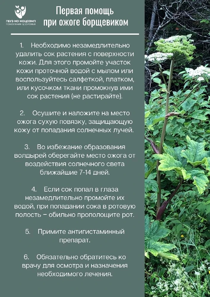 БЕЗОПАСНЫЕ КАНИКУЛЫ❗❗❗