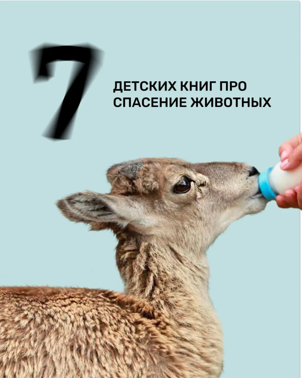 Какой ребенок не мечтает стать ветеринаром или зоологом и спасать животных?
