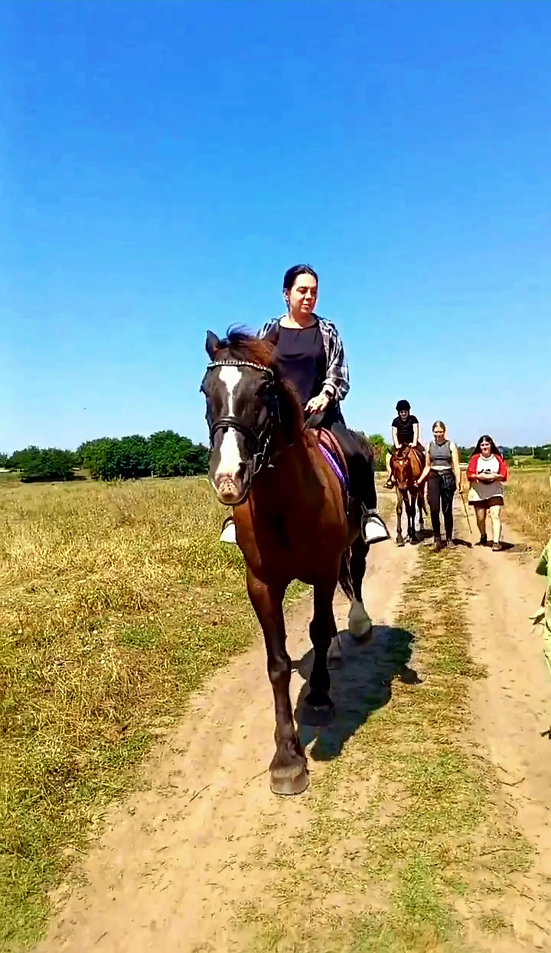 Летние каникулы продолжаются 🐎