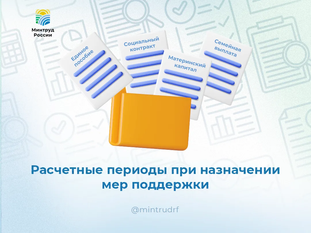 За какой период учитывают доходы при назначении мер поддержки?