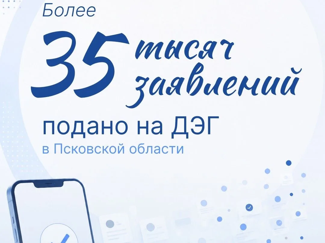 Более 35 тысяч избирателей Псковской области подали заявления на дистанционное голосование