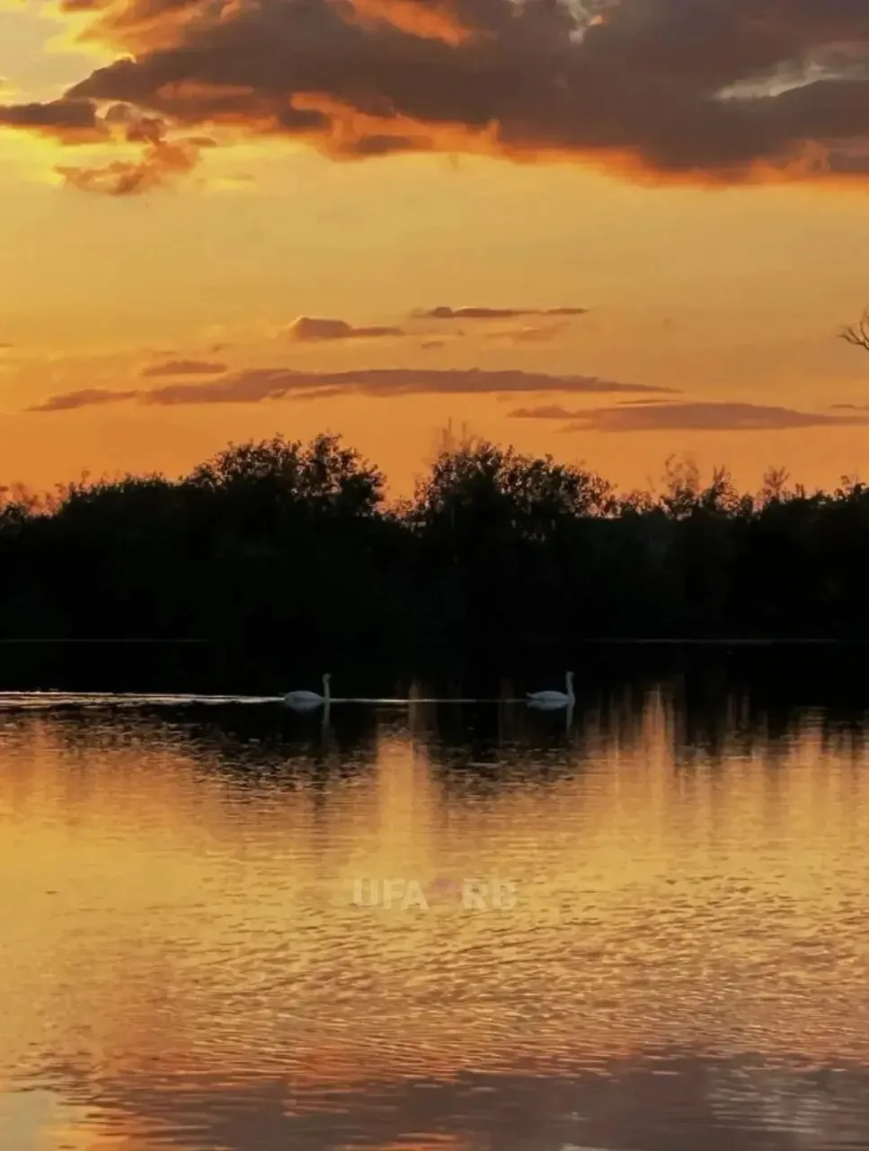 Вчера под Уфой был необычный закат в Подымалово и красивые облака 🌥️ в Авдоне.