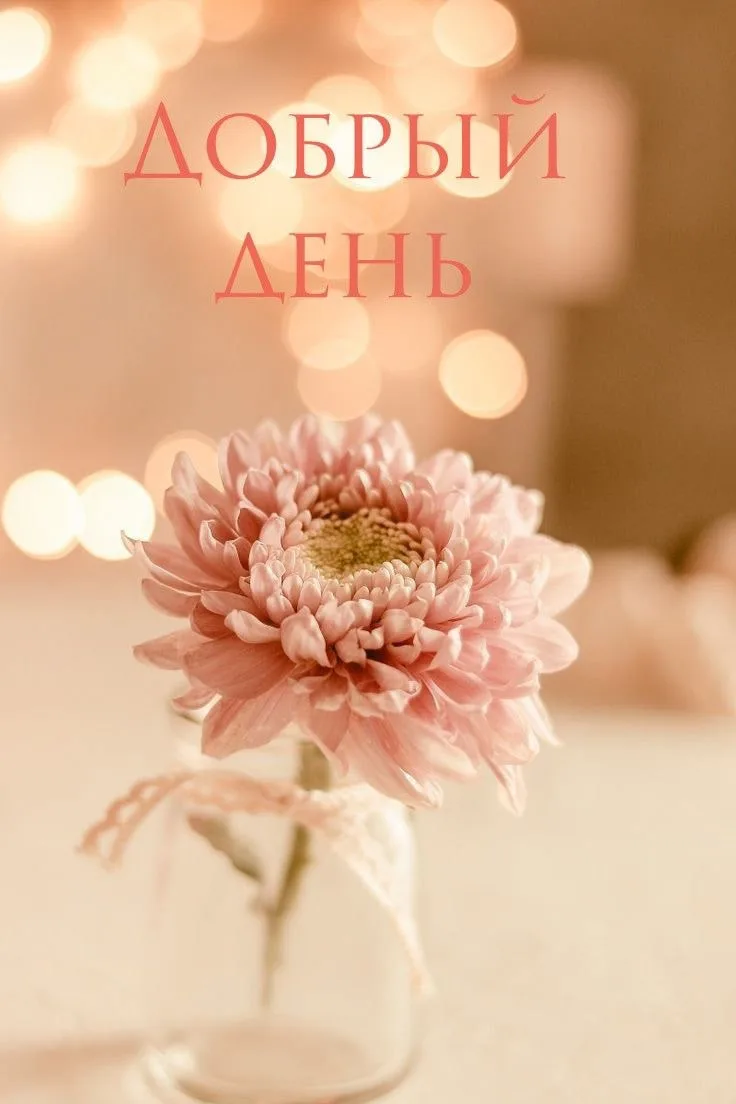 🔥Ставьте реакции, отправляйте близким ❤️