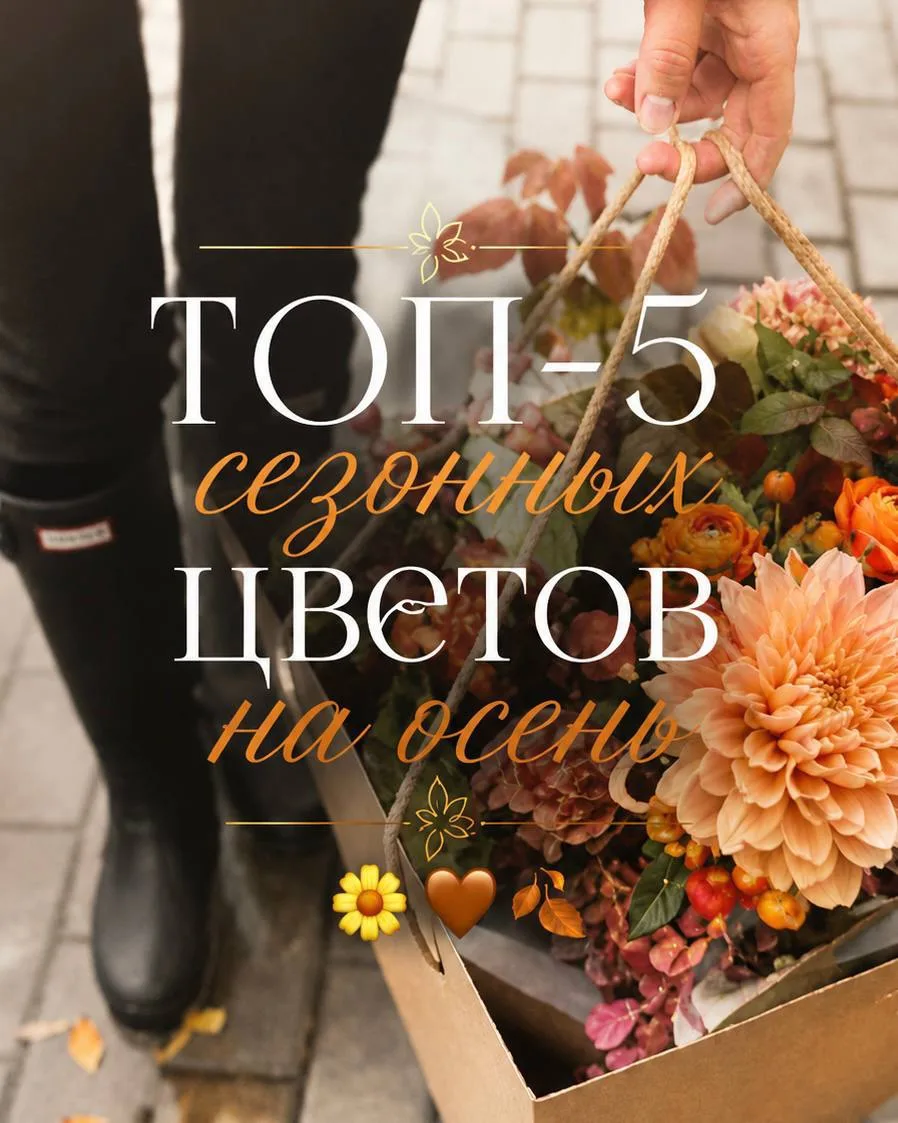 ТОП-5 сезонных цветов на осень!