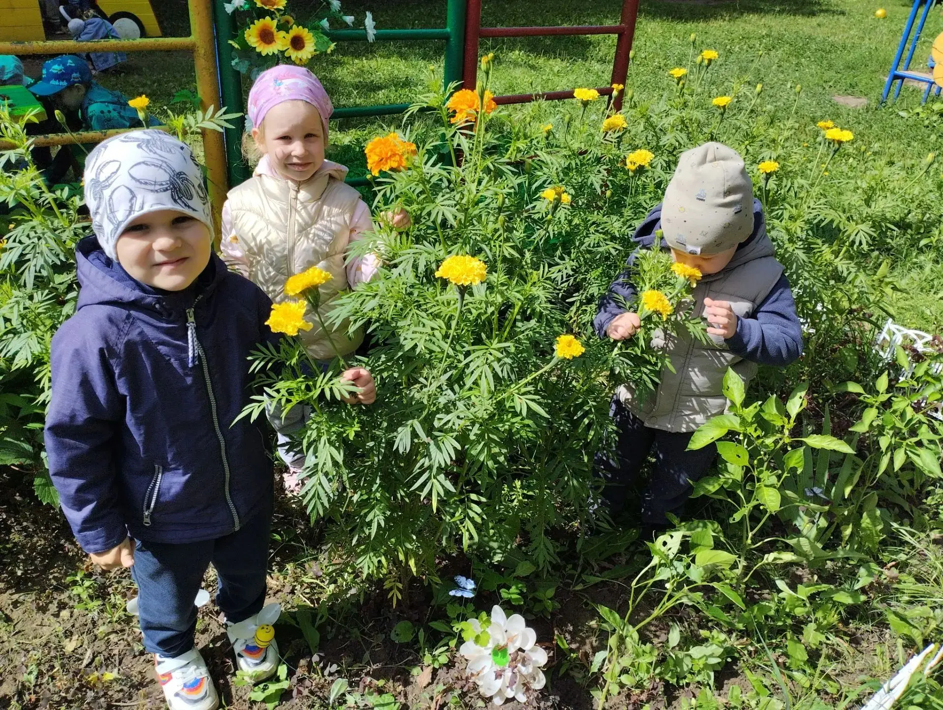 Огородная терапия в нашем детском саду