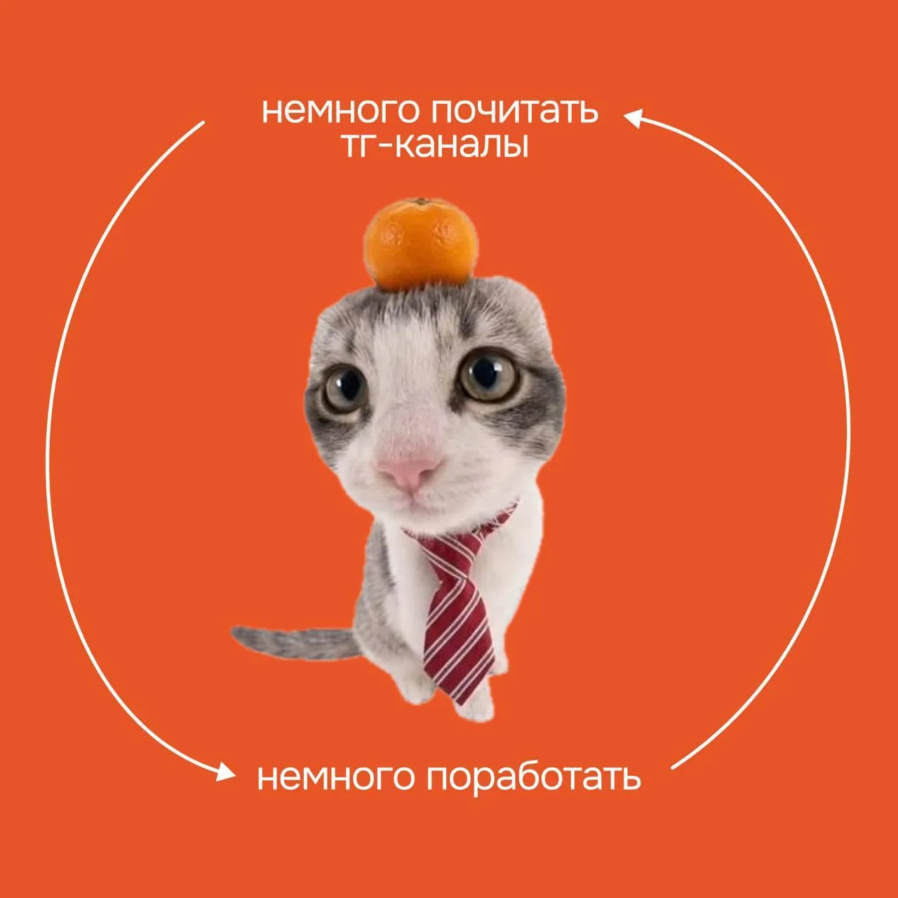 🔥 Узкой специализации уже недостаточно

Раньше HR мог глубоко отвечать за один участок — подбор, об