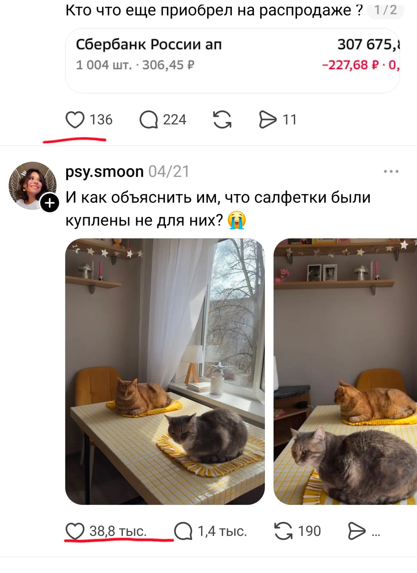 Истинно, котики спасут людей!

Пообсуждать акции и поржать с котиков сильно отличается количество же