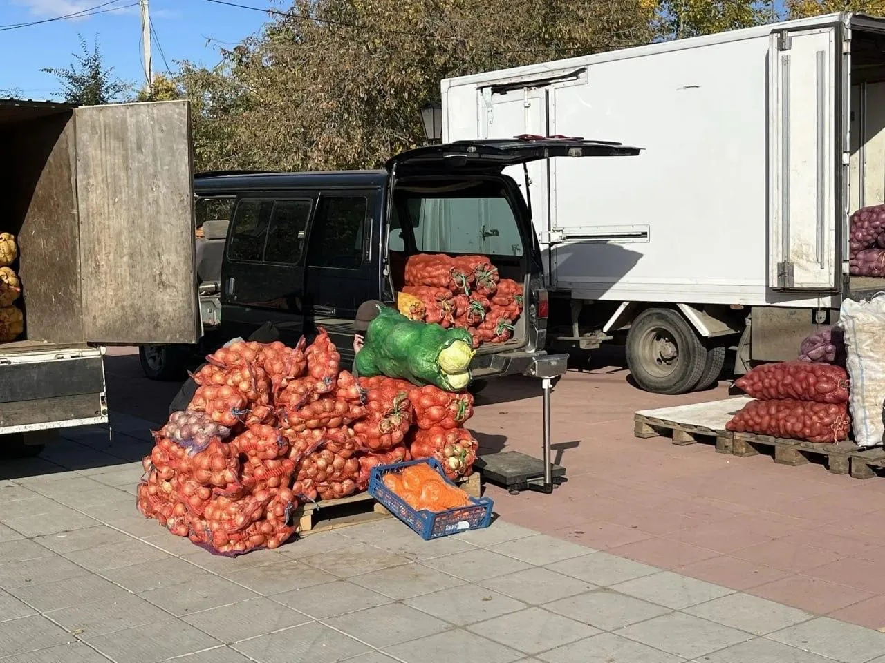 🥔 КСК скупил всё: итоги ярмарки