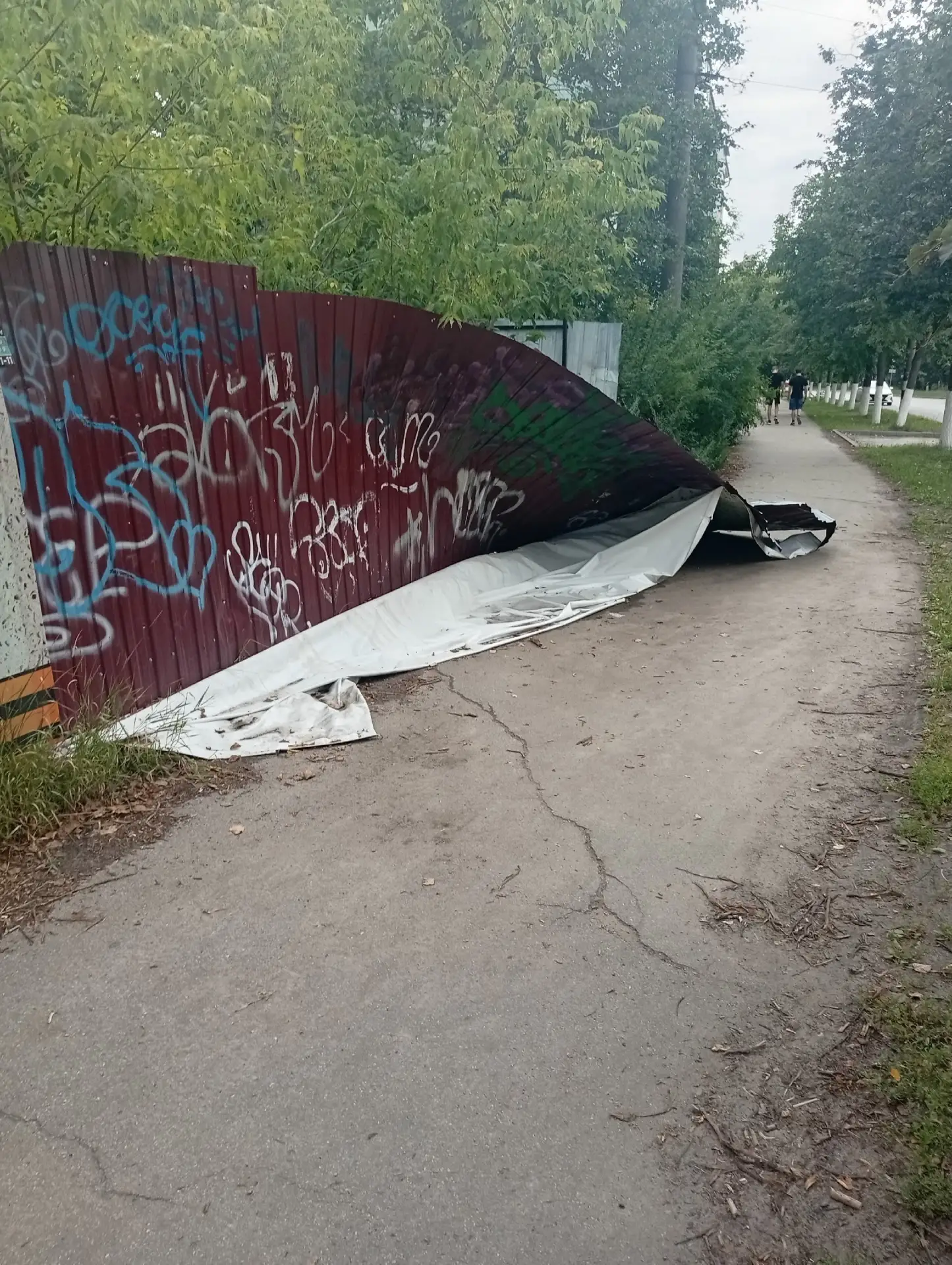 Развалился забор у Родины. Не пройти и не проехать. Почему не убирают?

Подписаться