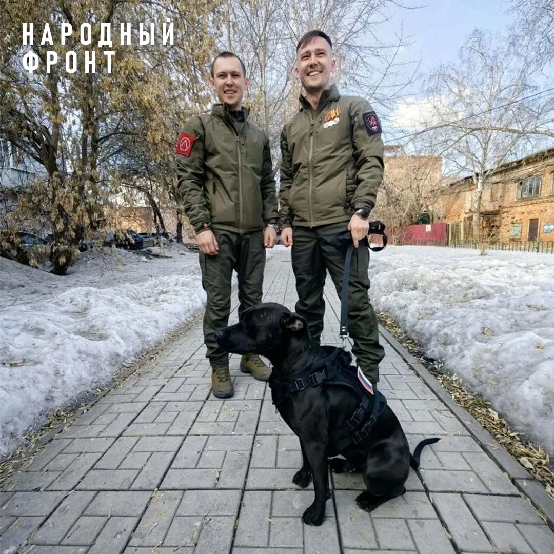 Два брата и их спасённый питбуль.  Если не читали историю и не смотрели видео, только посмотрите на 