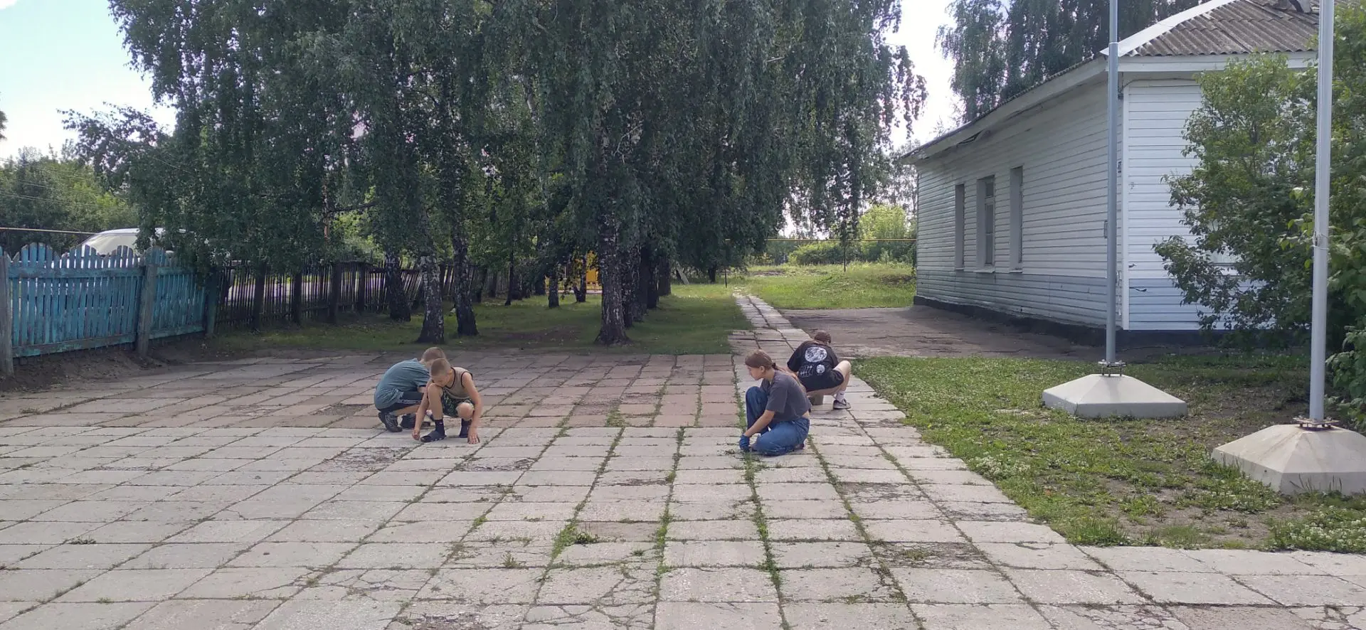 Продолжается пятая трудовая четверть. Ученики нашей школы работают на пришкольном участке, закрепляя