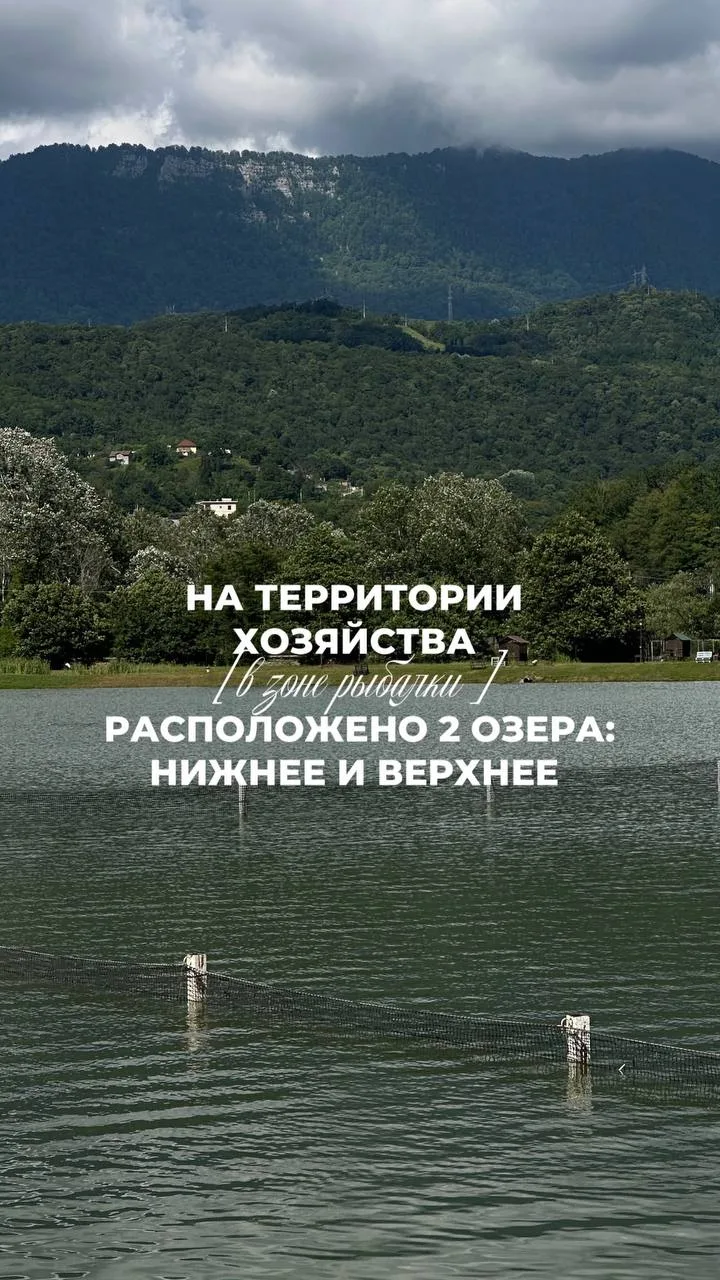Среда - это маленькая пятница… самое время запланировать досуг в выходные дни!✌