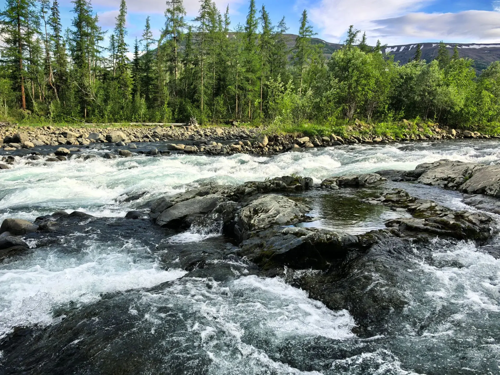 А вот ещё один вариант нашей северной романтики 🏔️🌲