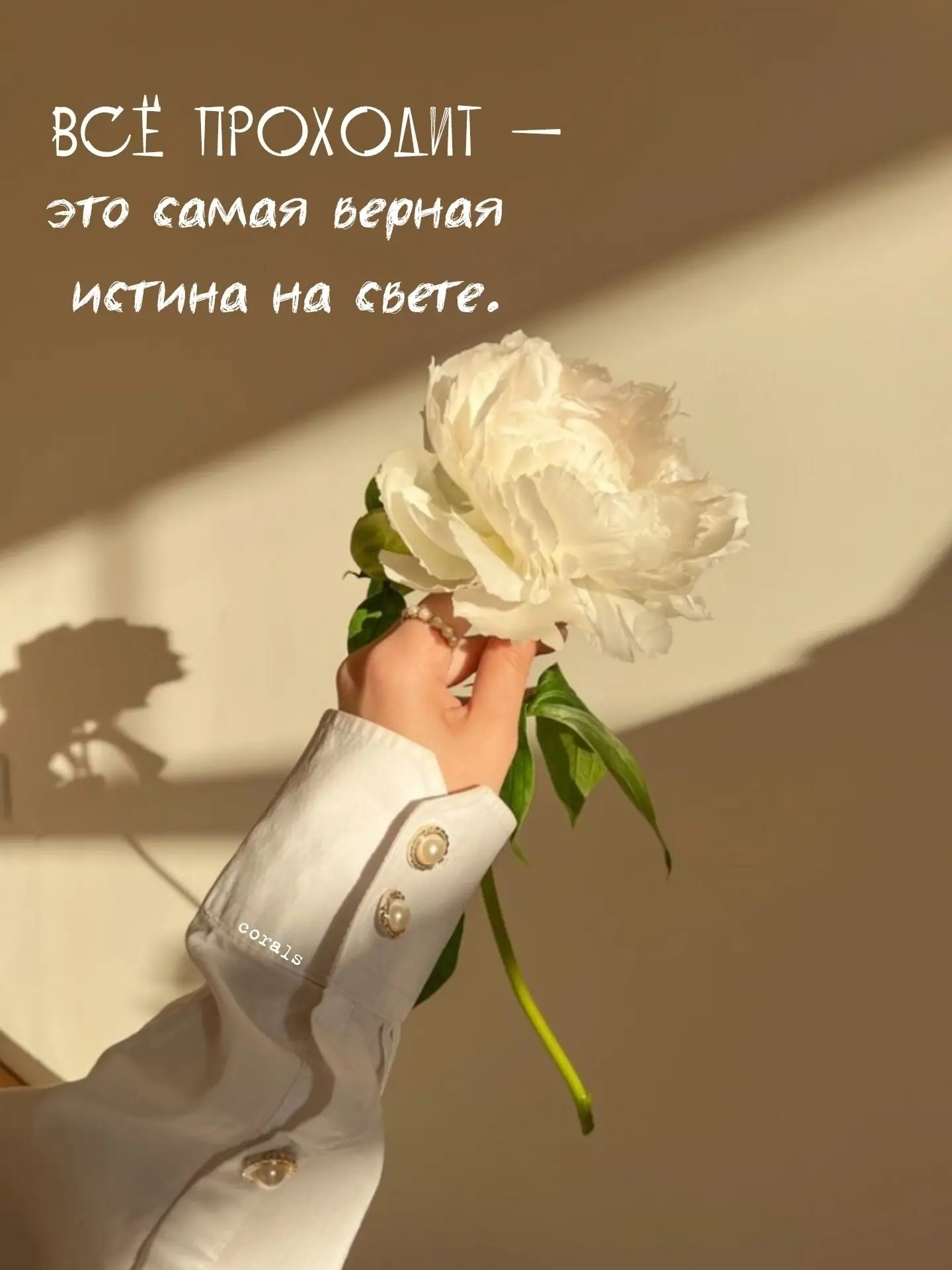 🇷🇺  Мы в МАХ : https://max.ru/dusha_angela_new