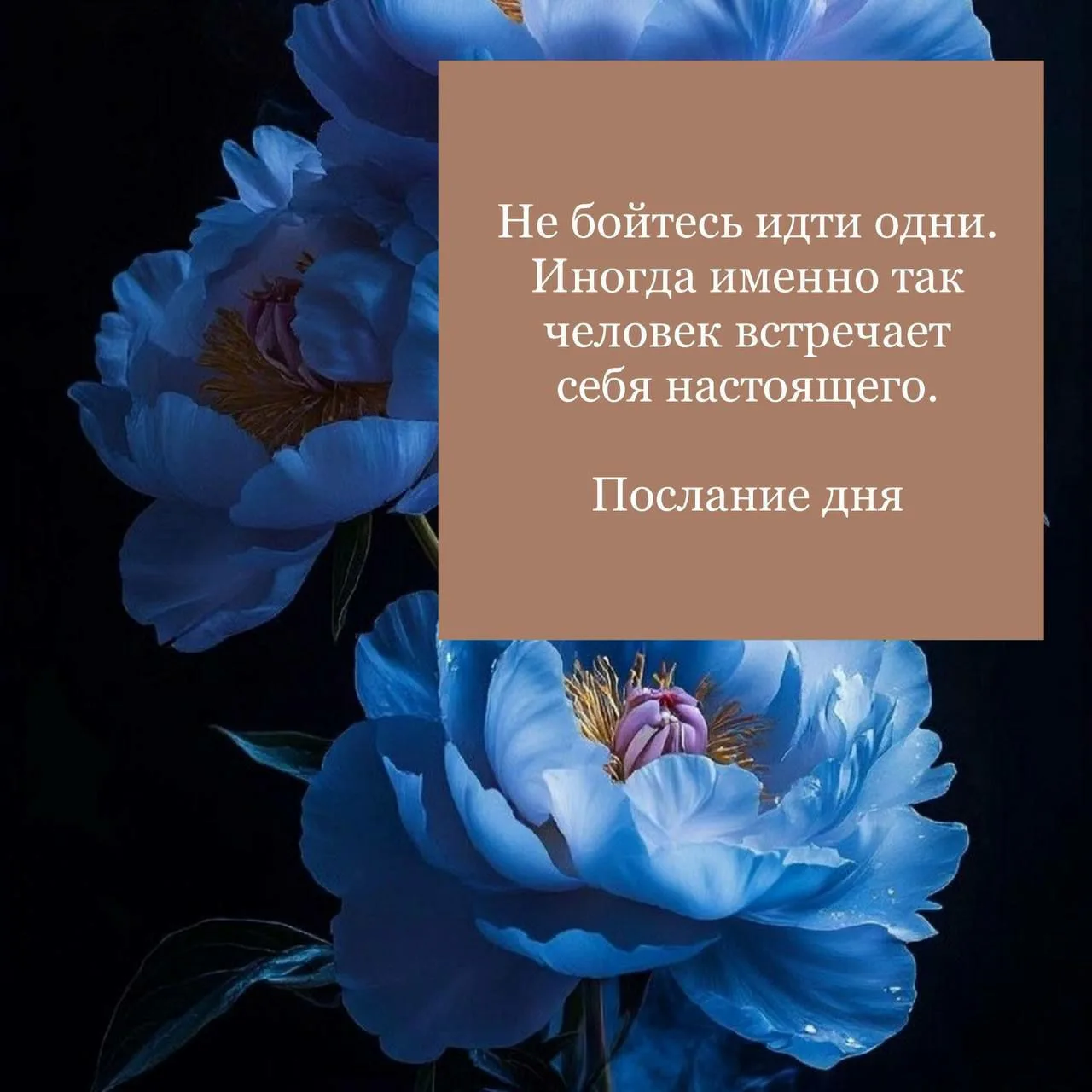 Доброе утро, прекрасные 💝