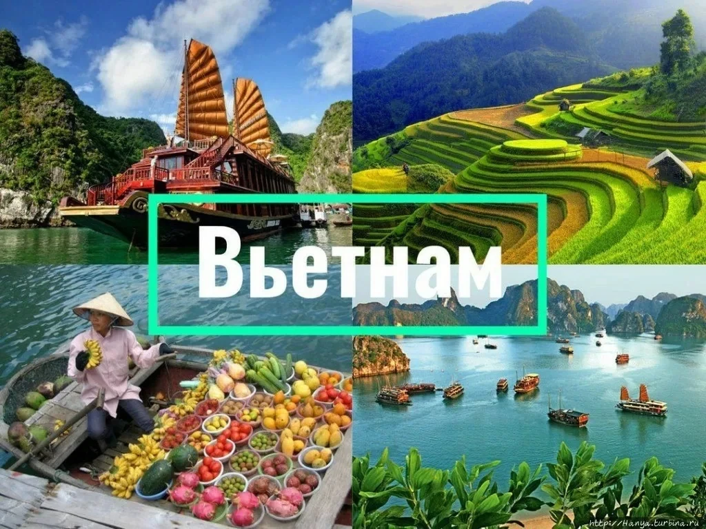 ‼ЛЕТИМ ВО ВЬЕТНАМ НАМ НА ОСЕННИЕ КАНИКУЛЫ