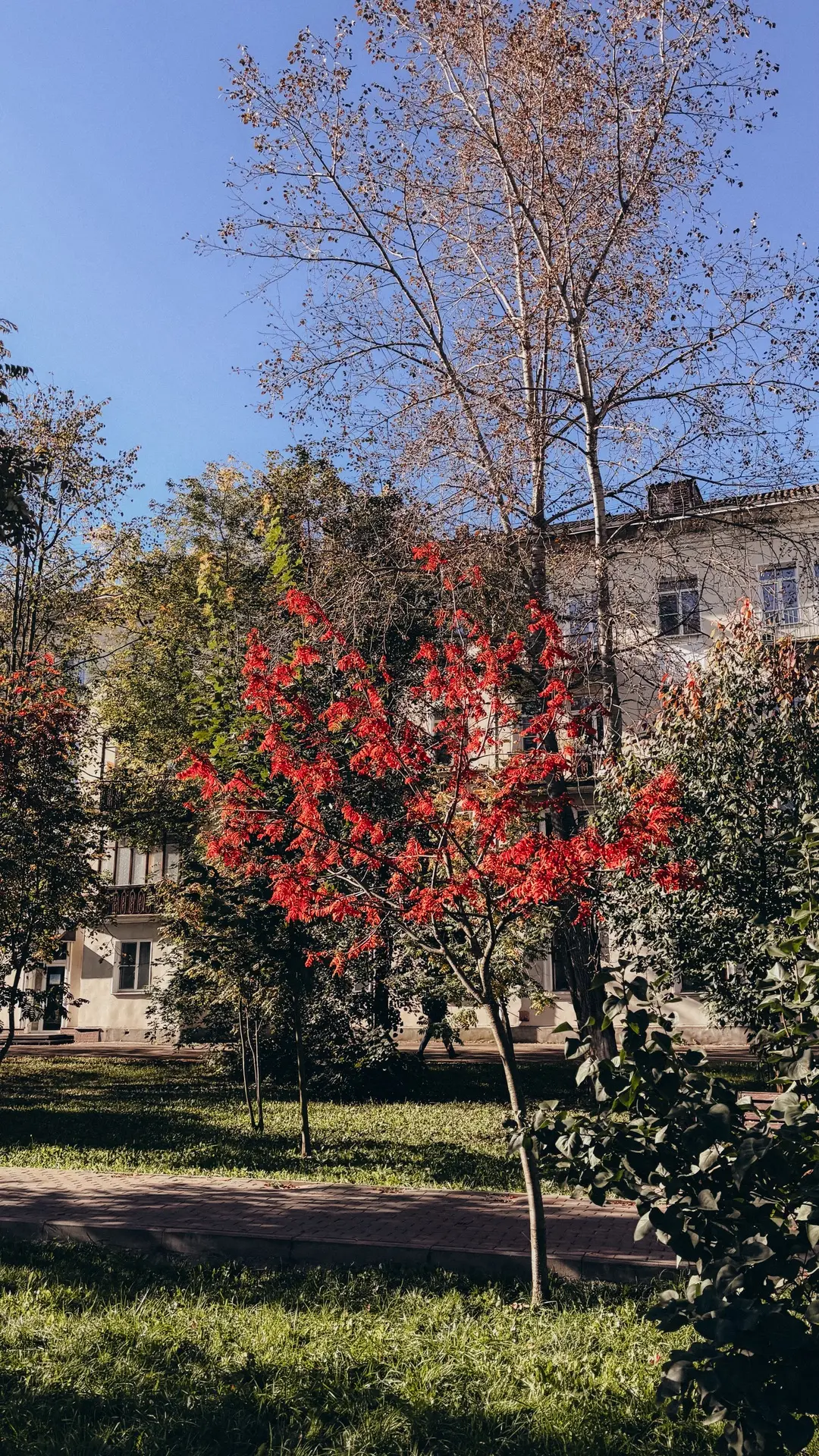 ⛅️19 сентября в Кирове будет облачно с прояснениями, днём небольшой дождь.