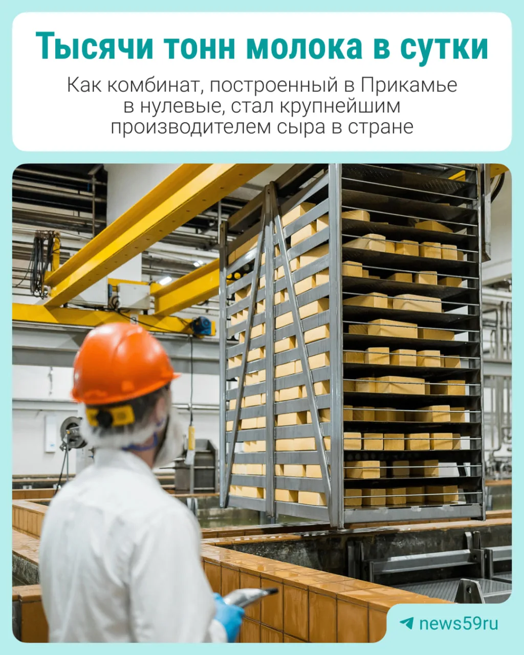 В списке крупнейших предприятий Пермского края есть компании, занимающиеся сельским хозяйством или т