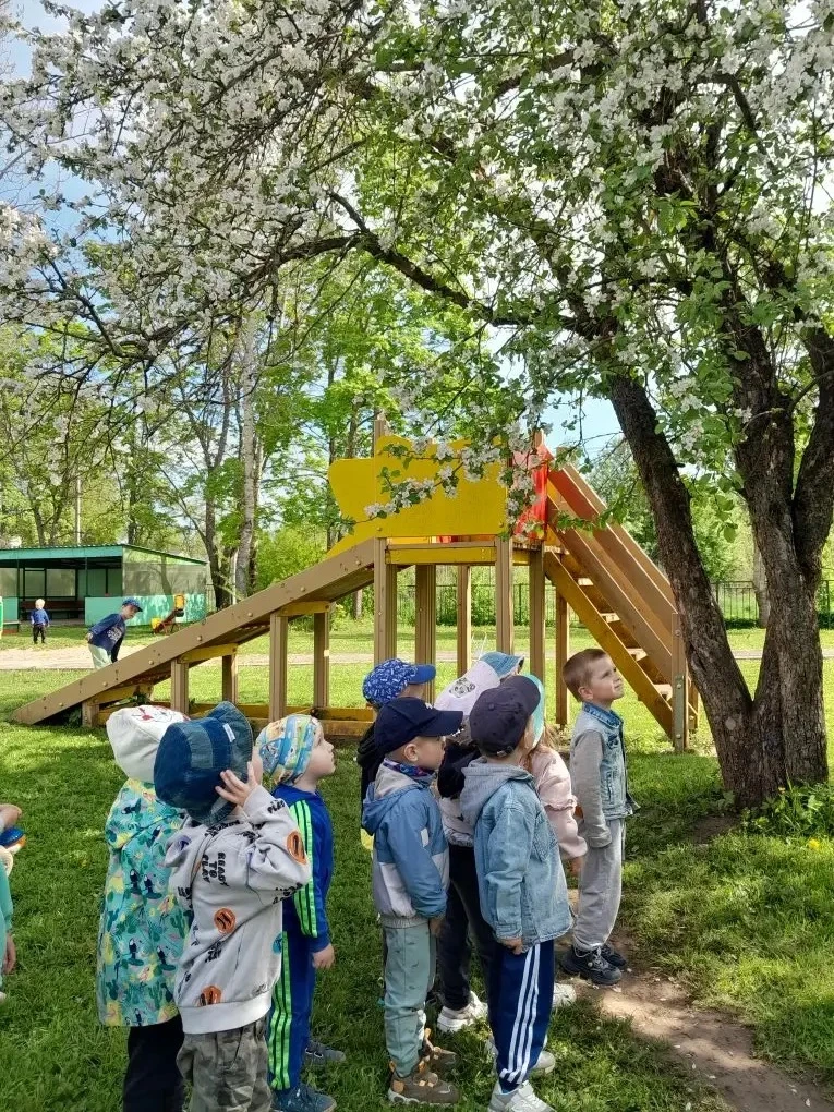 Занятие по изодеятельности в младшей группе «Ветка сирени»