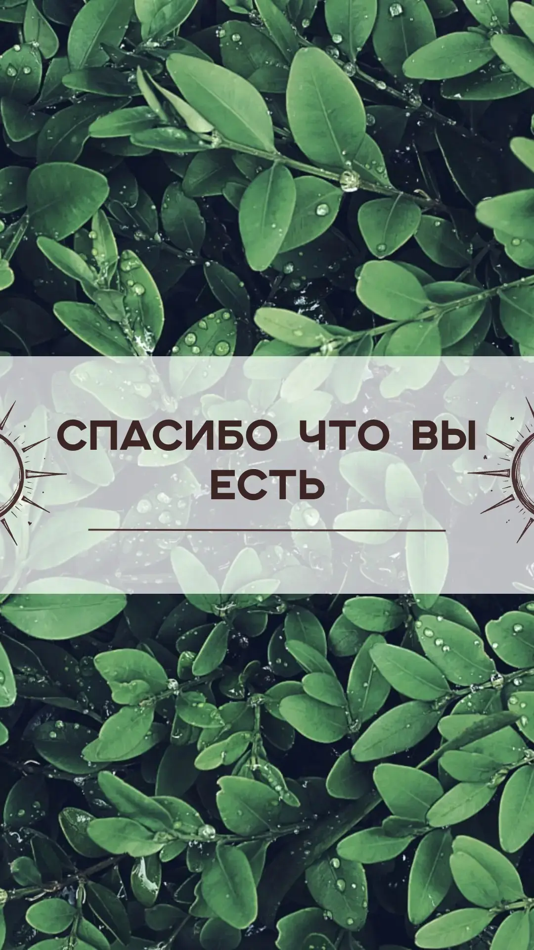 💬 Суббота. Май на финише. Просто хочу сказать спасибо 🌿✨
