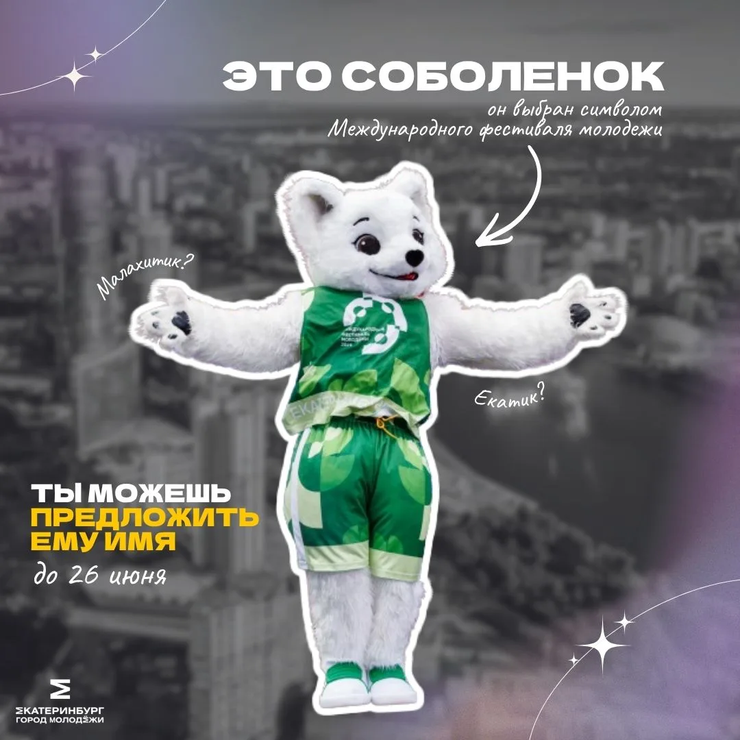 Войди в историю Международного фестиваля молодежи!