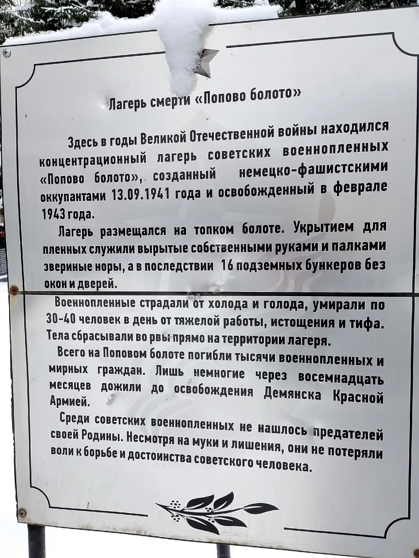 Благодарим Клуб "Надежда" и классного руководителя 6а класа Светлану Николаевну Дмитриеву за организ