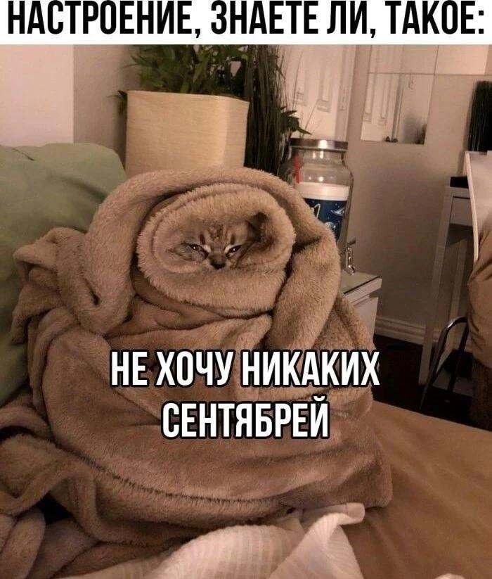 Август на исходе: приметы, которые стоит знать 🌾