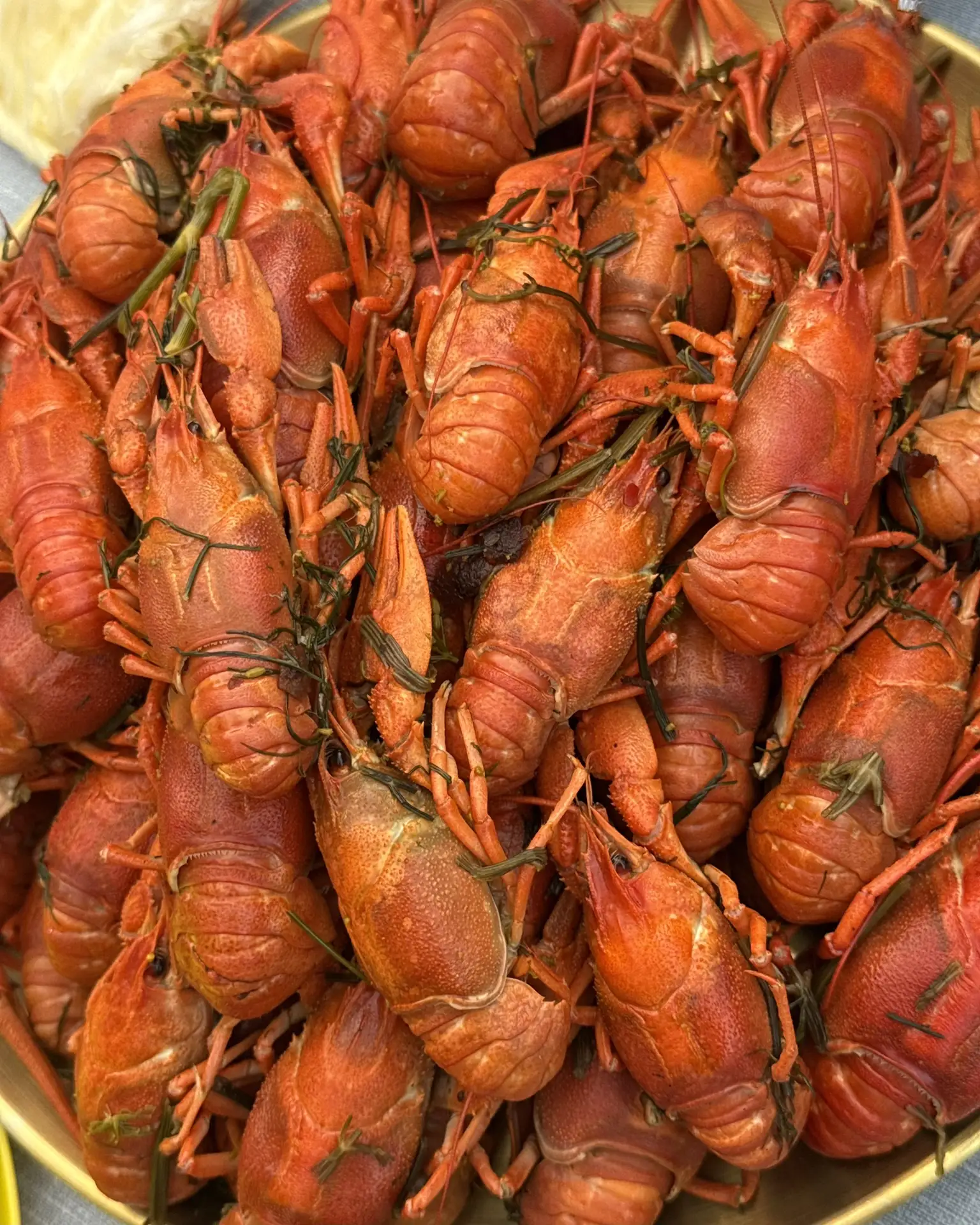 🦞☺️