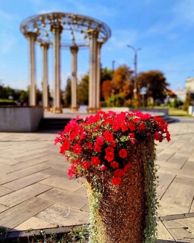 ☀️ Доброе утро, Орёл!