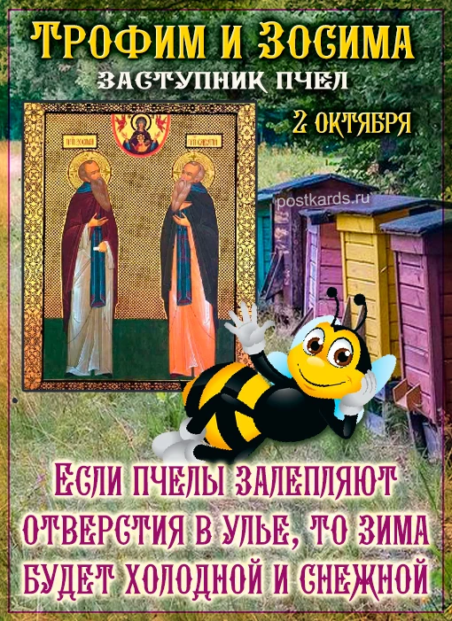 https://max.ru/invista123456