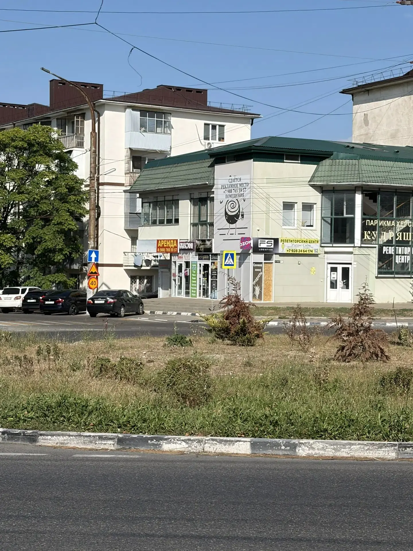 Удручающее состояние клумбы на кругу Ул.Видова/Луначарского.