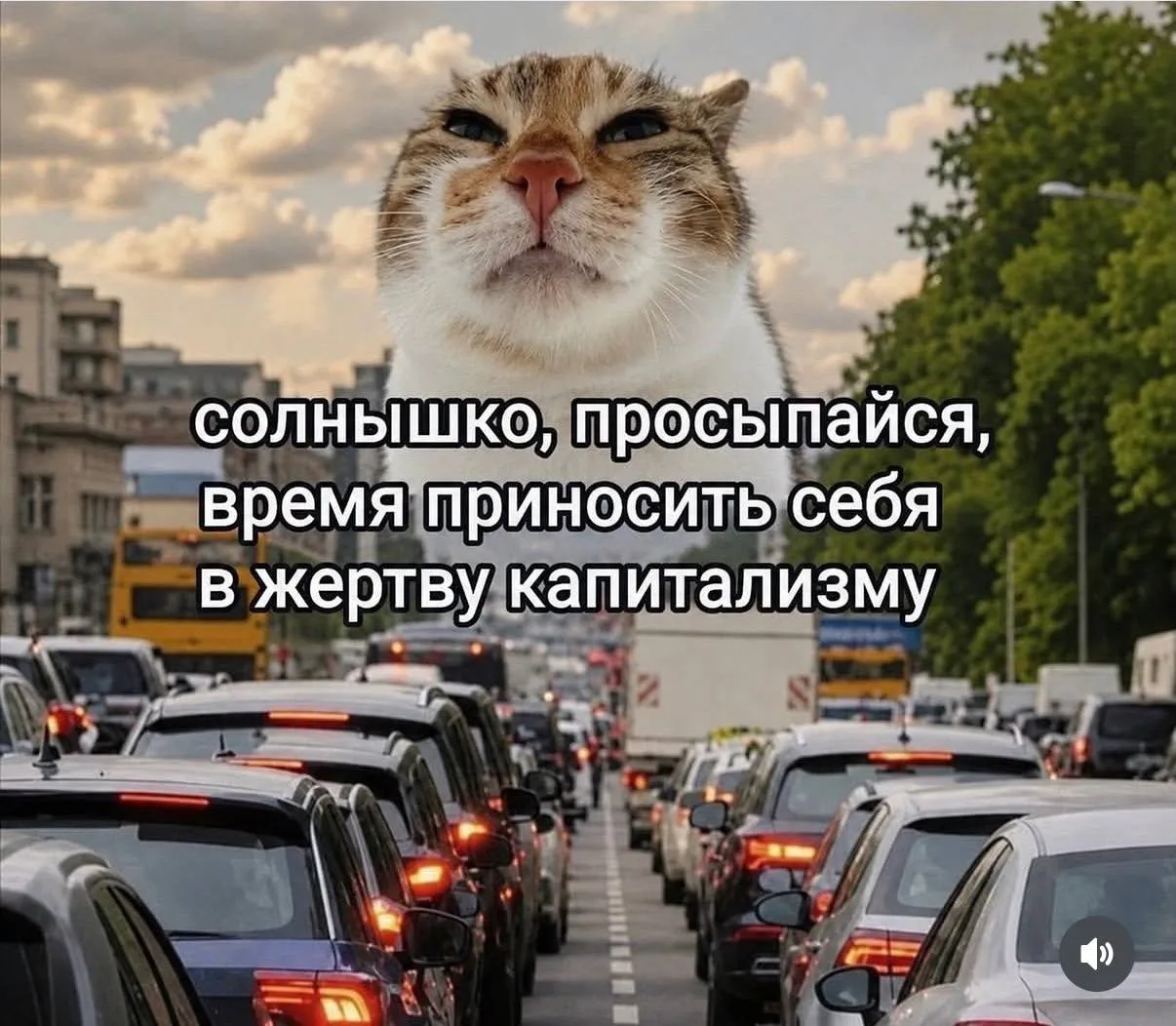 ✨ Доброе утро 😁