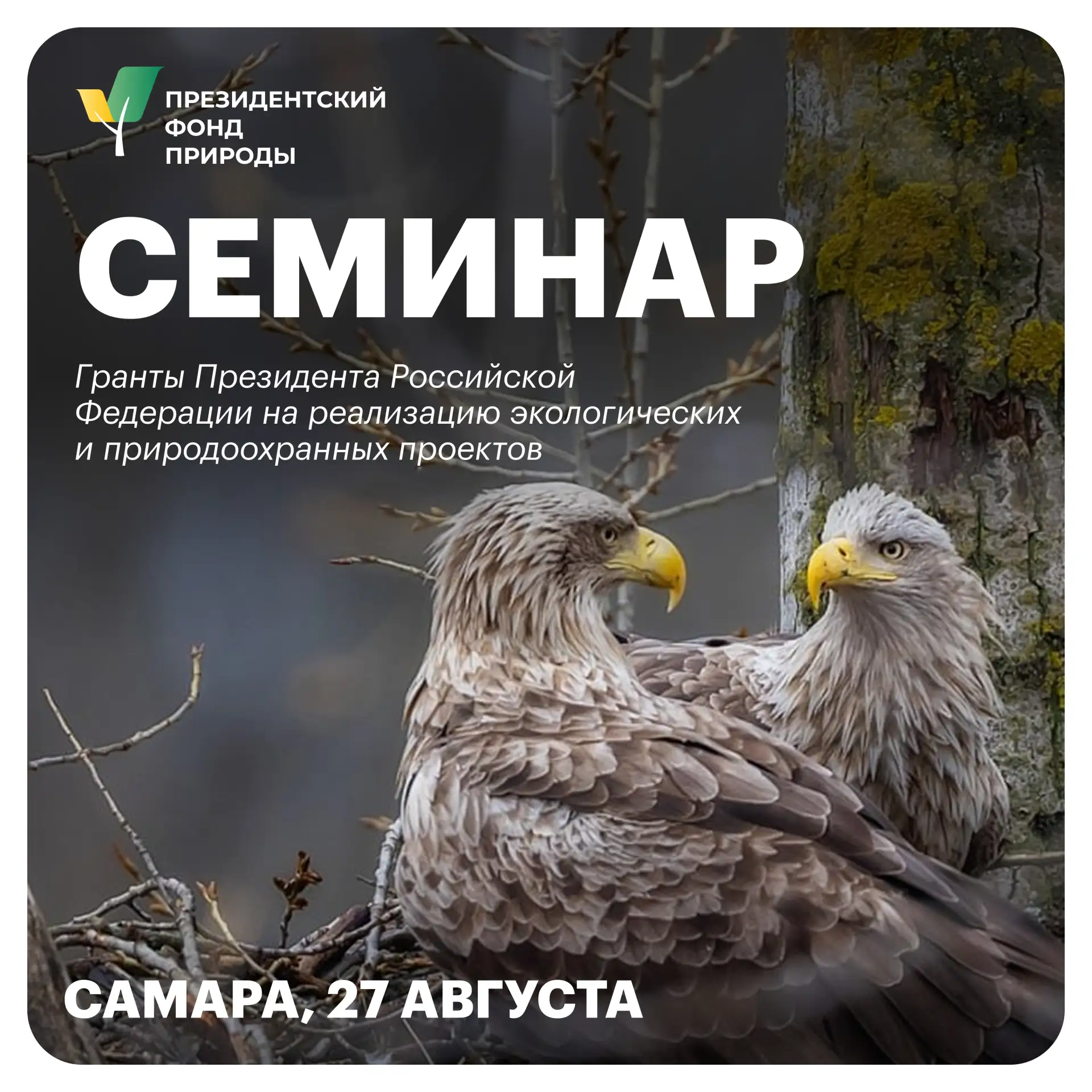 🌿 Семинар Президентского фонда природы в Самаре