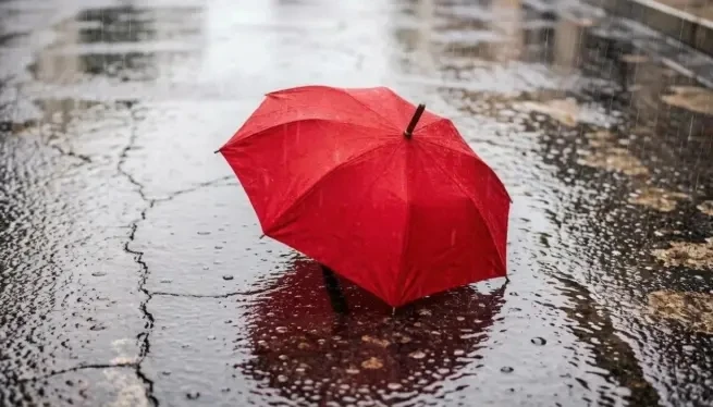 💢 Свердловскую область снова накроют сильные дожди 🌧
 
До конца недели в регионе ожидаются ливни, 