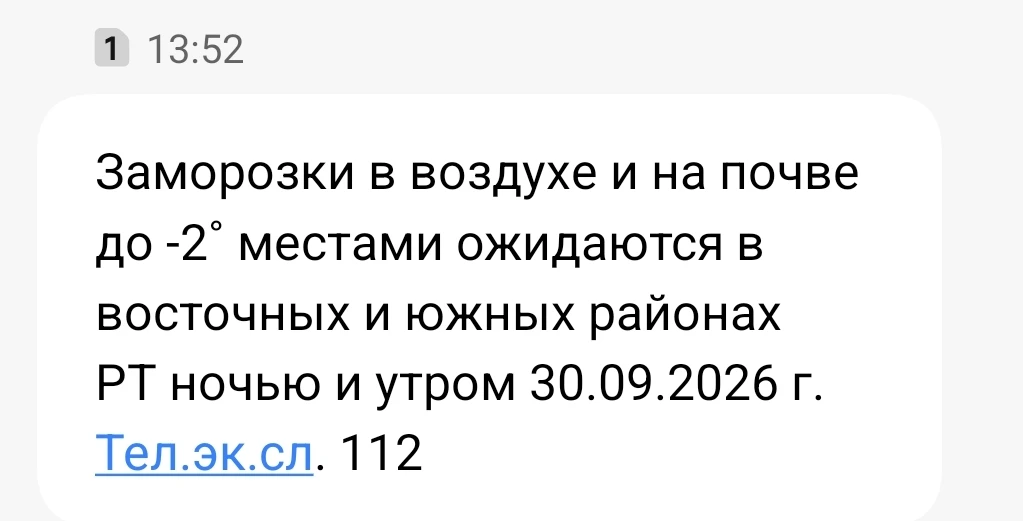 Заморозки в воздухе и на почве до -2˚ местами ожидаются в восточных и южных районах РТ ...