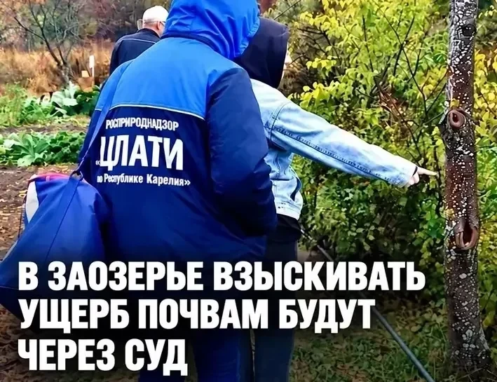 Контрольные органы подтвердили загрязнение почвы сточными водами в Заозерье