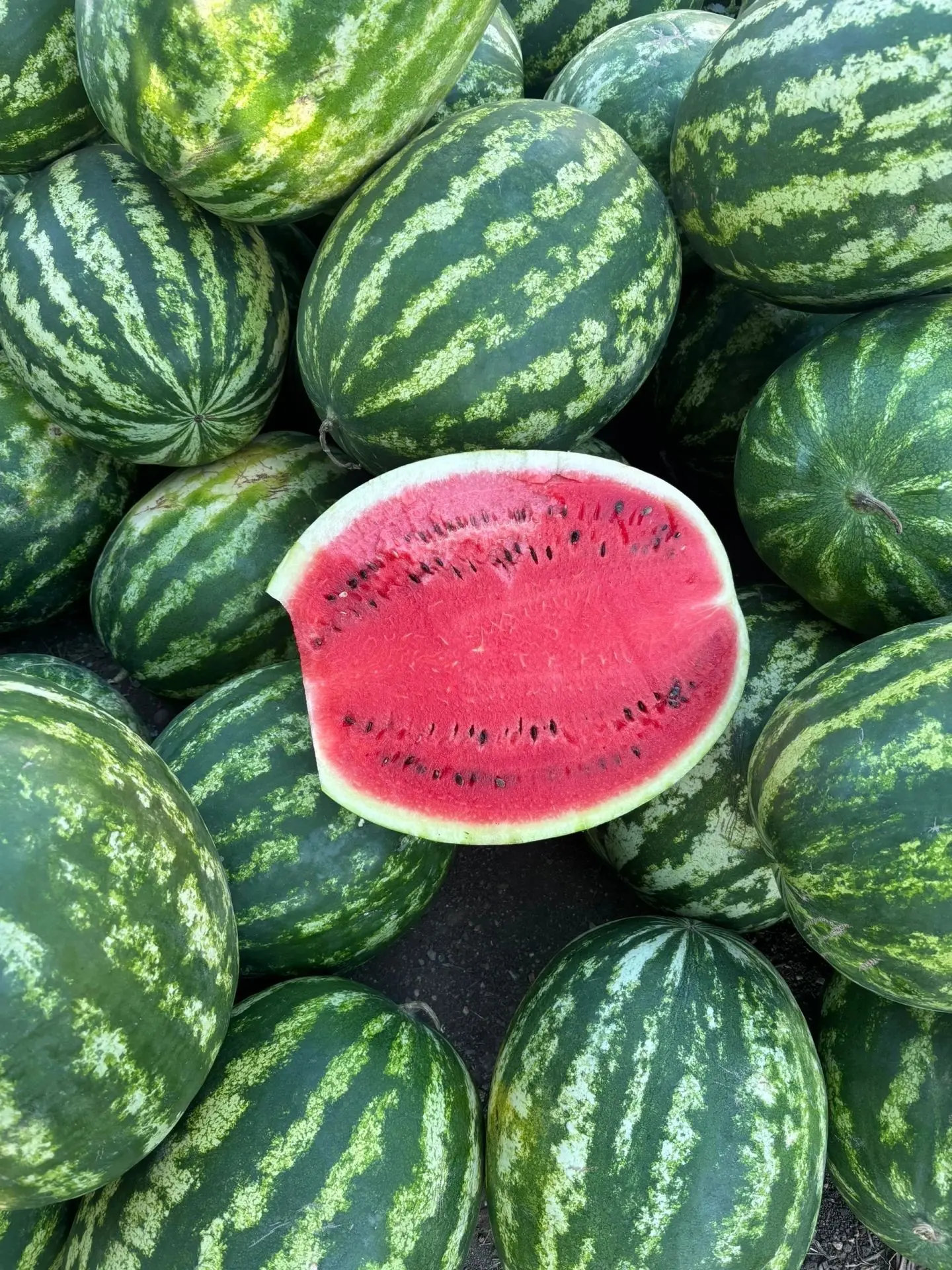 Продам арбуз
