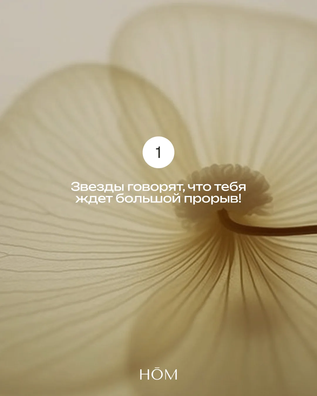 Поставь реакцию🤍