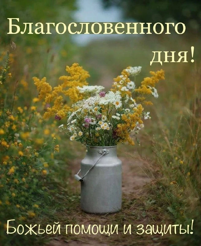 Благословенного дня

«Господь будет охранять выхождение твое и вхождение твое отныне и вовек».
Псало