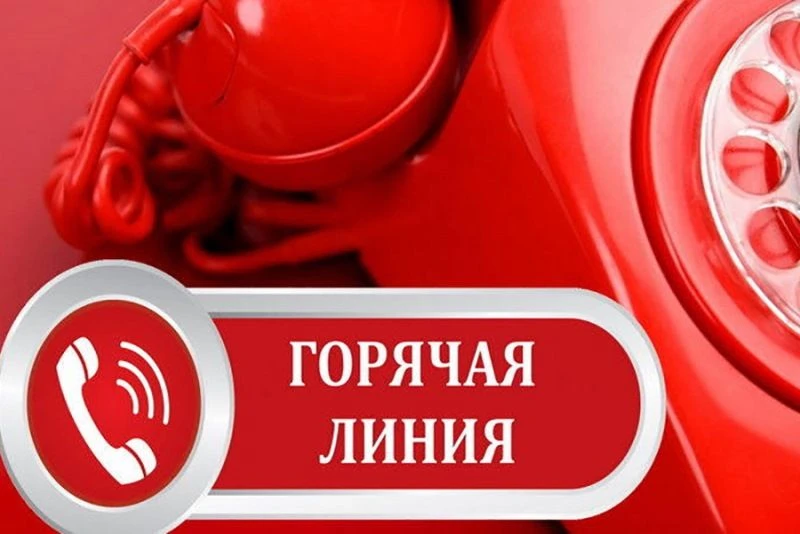 Проводим "горячую линию"!