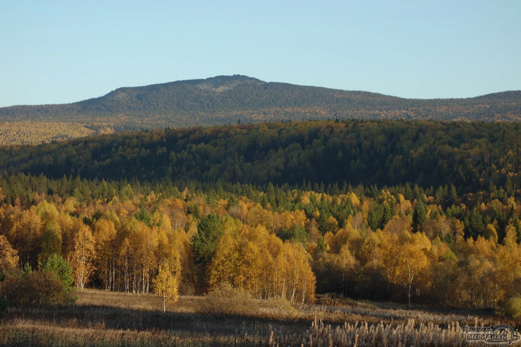 🌲 На маршруте к Перевалу Дятлова оборудовали пять туристских стоянок.