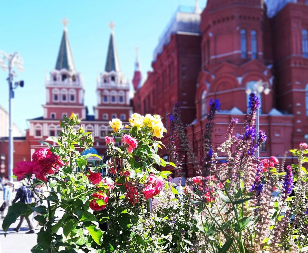 🌧 В этот дождливый вечер самое время ненадолго перенестись в солнечные деньки и вспомнить, как "Сад