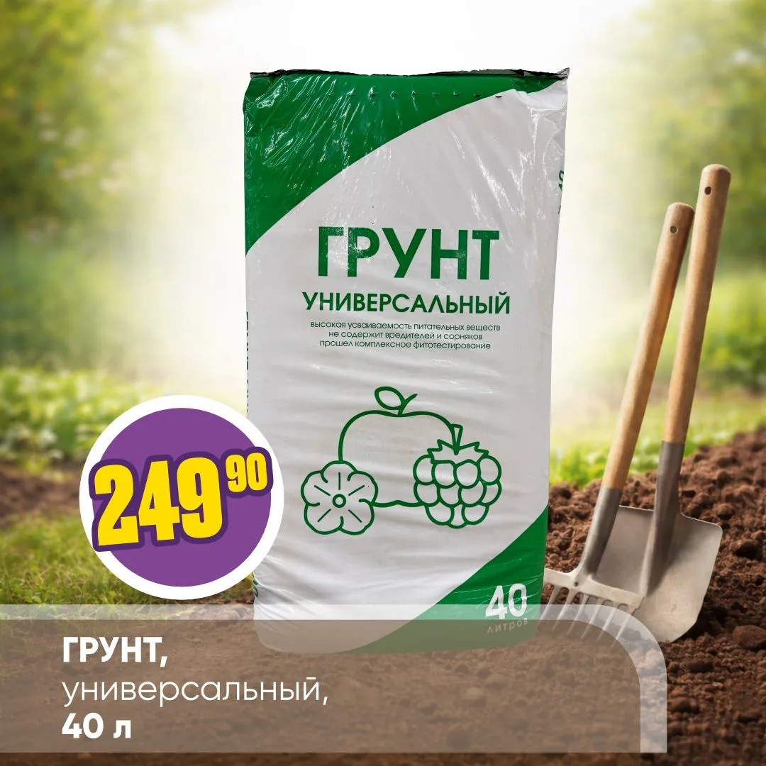 ДАЧНЫЙ СЕЗОН С «ЧЕСНОКОМ» 🏡   Дачный сезон – время свежего воздуха, первых посадок и приятной работы